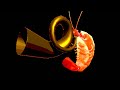 shrimp quartet