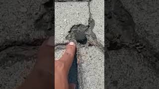 Download lagu Heboh!! batu meteor bisa bergetar sendiri ternyata hanya gimick #shorts mp3 Download lagu Heboh!! batu meteor bisa bergetar sendiri ternyata hanya gimick #shorts mp3