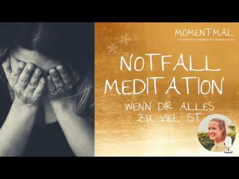 Emergency Meditation | When everything is too much | Finding Clarity & Inner Peace