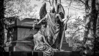 estatic fear(austria)- chapter v(1999)