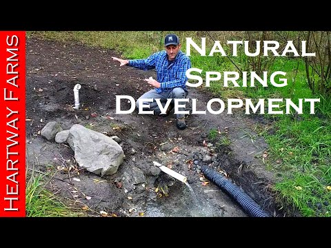 Developing a Natural Spring | Off-Grid Water | Well | Prepping | WROL | Solar Pump | Heartway Farms