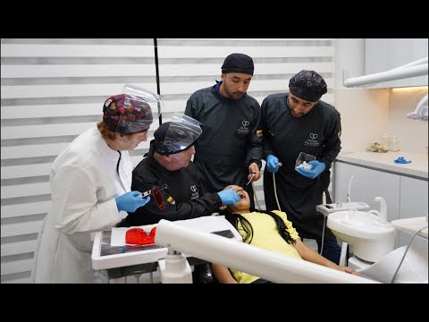 THE DENTISTS - THE MOUNTAINEERS