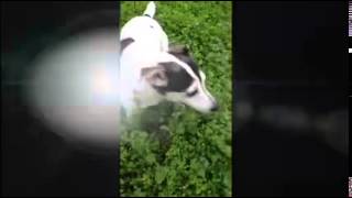 Sara Hickman RWRS 2 WEEK 20 CURIOUS