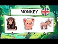 Aprende INGLÉS Y DIVIÉRTETE 50 Animales En 14 Minutos Tutorial De Inglés Para Todos