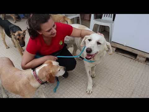 Vídeo de BONANÇA