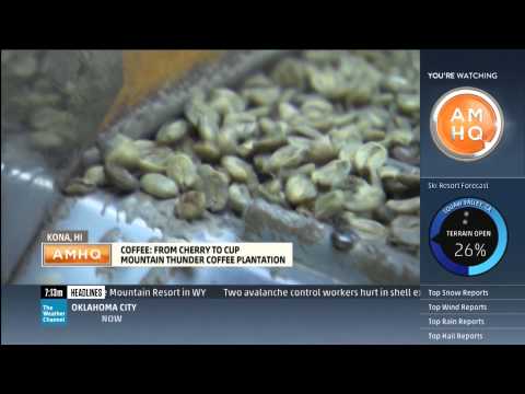 De onde vem o café Kona? PARTE 2