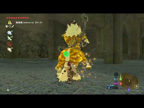 My First Gold Lynel Kill! Flawless No Damage!