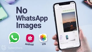 Best Way to Fix WhatsApp Images Not Showing in Gallery (Android/iOS)