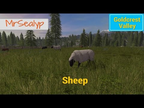 Farming Simulator 17 PS4: Goldcrest Valley, Sheep guide.