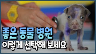 좋은 동물병원 선택 요령