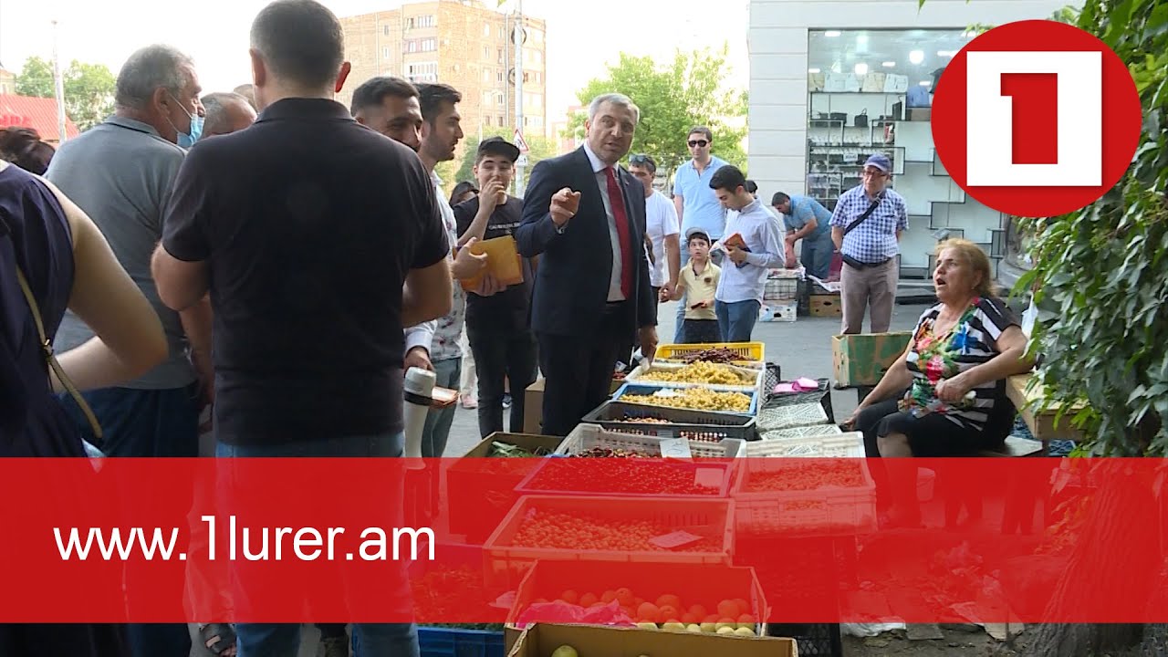 «Արդար Հայաստան» կուսակցության տնտեսական տեսլականը