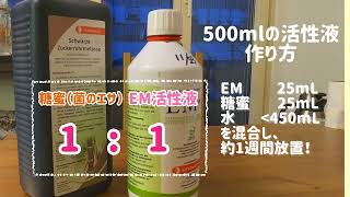 [EMで菌生活] EM菌とは？お家で簡単EM活性液培養法　僕たちの使い方　除菌•殺菌から『加菌』の時代へ #44