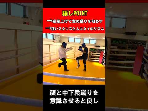 【奇襲】フェイントから本命を決める、蹴り＆パンチ連携　#shorts