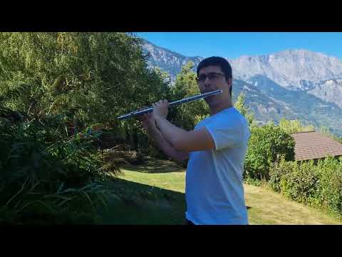 Street Fighter 2 Victory - Hadouken Theme  with Wind Instruments !