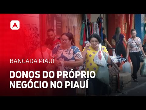 Piauí possui mais de 265 mil empresas registradas; crescimento foi de 83% em um ano