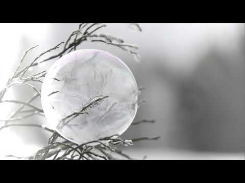 Yuki Murata - bird sings a lullaby (official music video) #Anoice