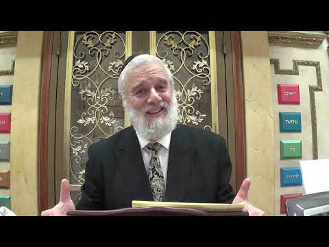 Insights on Parasha Shelach Lecha by Rabbi Eliyahu Kin