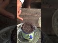 Ngopi Sek Lur ️ ️ ️ Shorts