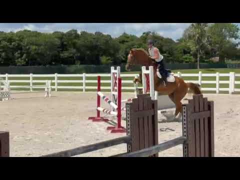 Gold Link video 5