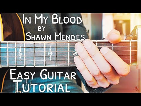 In My Blood Shawn Mendes Guitar Lesson for Beginners // In My Blood Guitar // Lesson #442