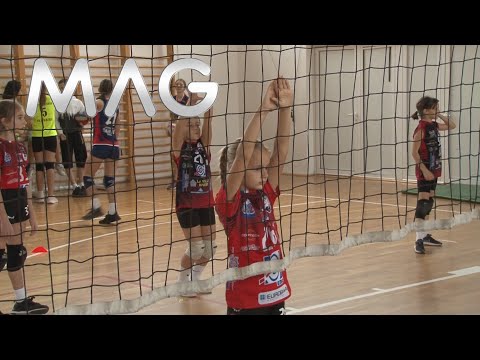 Surčin: 13. Mitrovdaski turnir u odbojci