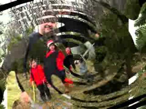 DiMartino Family DiMartino Family