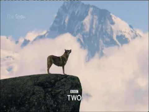 BBC  Two Thie Christmas on BBC Two Promo 2 12,18
