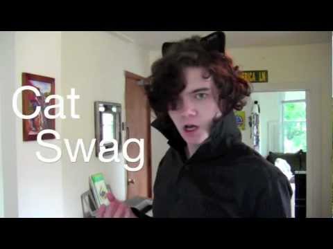 Cat Swag (Fu@# You! I'm A Cat!) - PDG Music Video