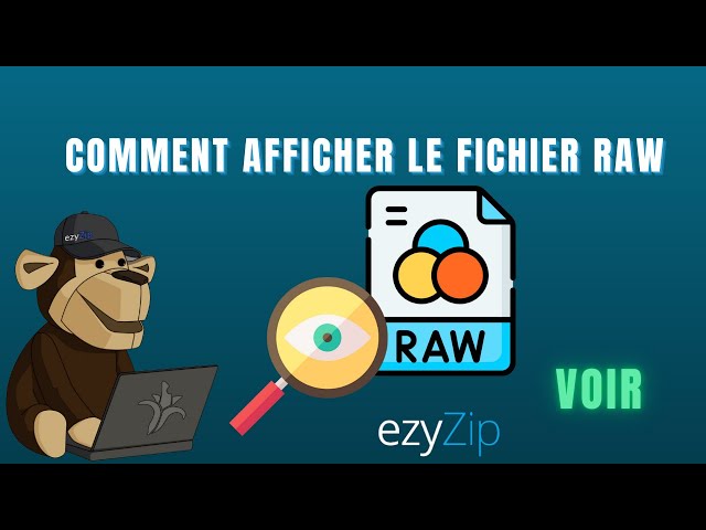 Comment Visualiser les Fichiers raw en Ligne