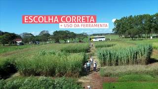 Miniatura do vídeo