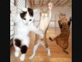 JUST DANCE
