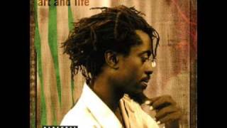 Beenie Man-Crazy Notion