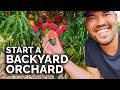 How To Start A Backyard Orchard COMPLETE GUIDE