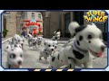 SUPERWINGS2 Perrimnasia Dálmata EP39 Superwings En Español Latino Super Wings