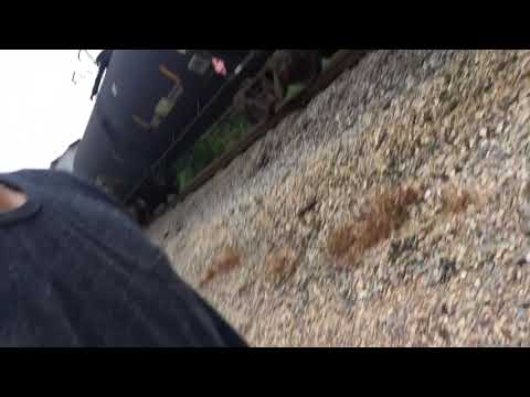 Train hopping 😜😂