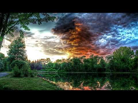 canto degli uccelli e rumore dell'acqua di ruscello per dormire meglio - ASMR