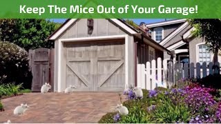 How to Keep Mice Out of the Garage
