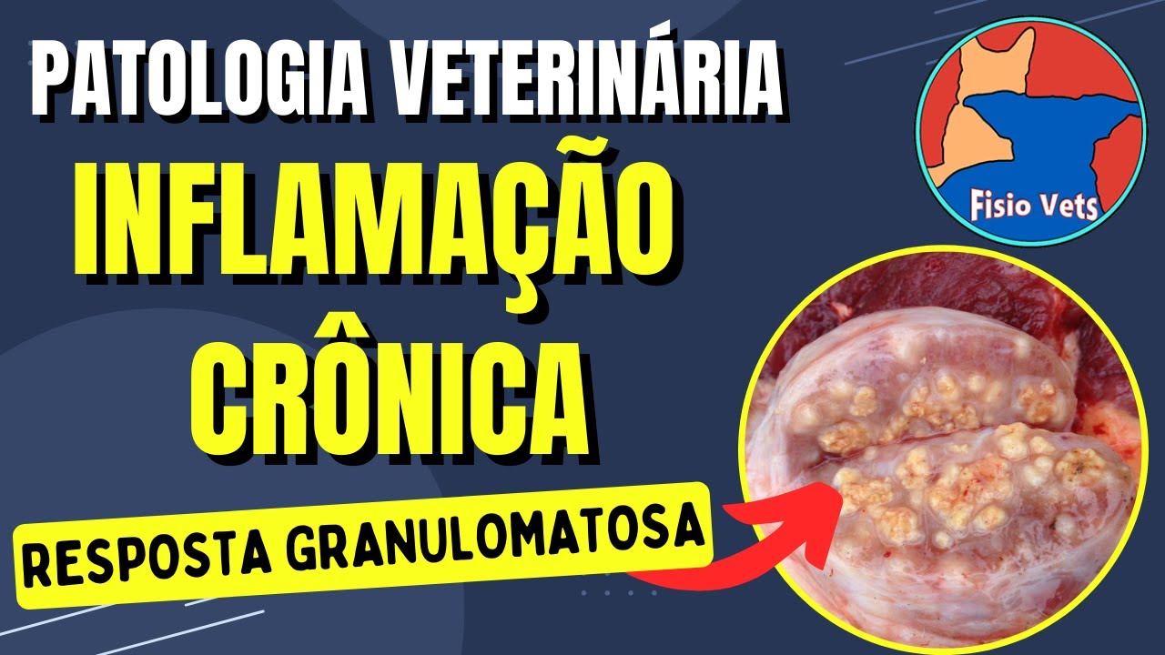 Inflamação Crônica - Características e tipos de granulomas - Patologia Veterinária