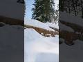Like Stair Bashing With Skates But On Snow Cam Good Times X Summitskiboards