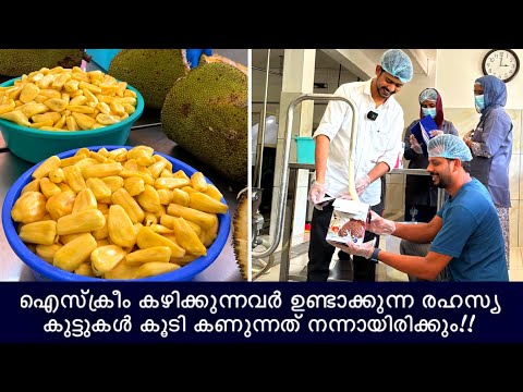 ഐസ്ക്രീം കഴിക്കുന്നവർ ഉണ്ടാക്കുന്ന രഹസ്യകൂട്ടുകൾ കൂടി കാണുന്നത് നന്നായിരിക്കും | Ice Cream Recipe