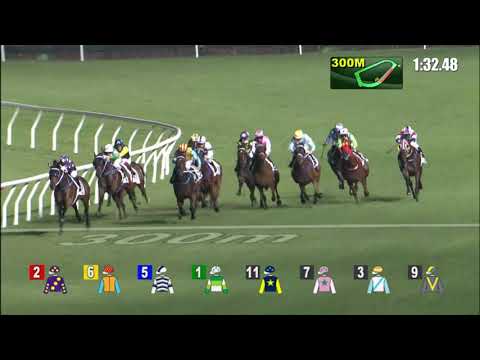 17/11/2021 (181) Fast Pace - Alfred Chan