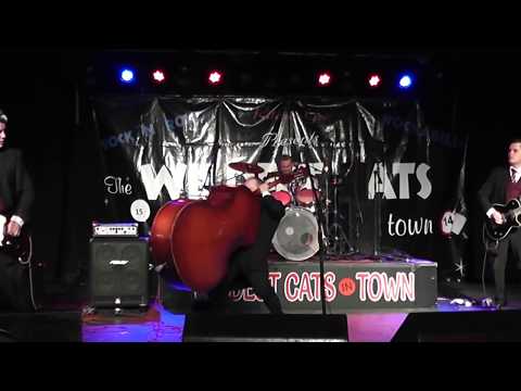 THE FIREBALLS UK Flying Saucers Rock & Roll WILDEST CATS IN TOWN XMAS 2017 Pakefield