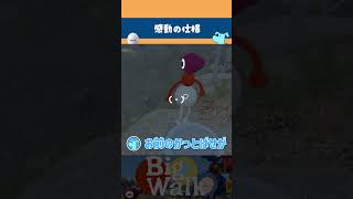 【Big Walk】このゲームやまびこあるんだけど！！