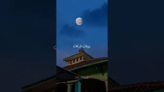 Download lagu Annabi shollu'alaih #sholawatnabi #liriklagu #majelispecintarosulullahsaw #shortsvideo #storywa mp3