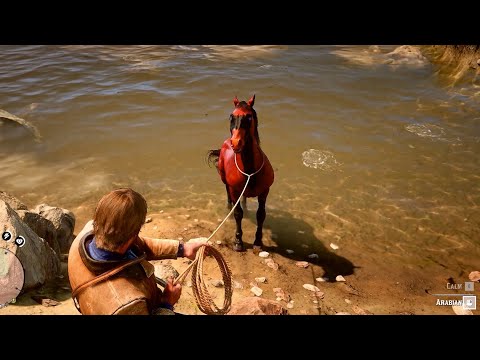 It is a very clever horse, Arthur tried hard to catch it but it ran away - Rdr2 | Gameplay