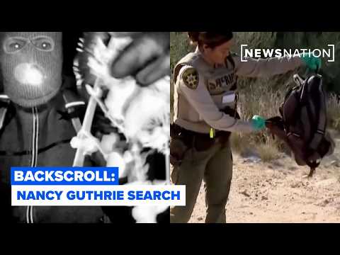 Nancy Guthrie case updates: $1M reward, accomplice theory, possible Mexico connection | Backscroll