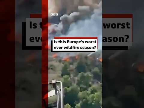 Is this Europe's worst ever wildfire season? #BBCNews