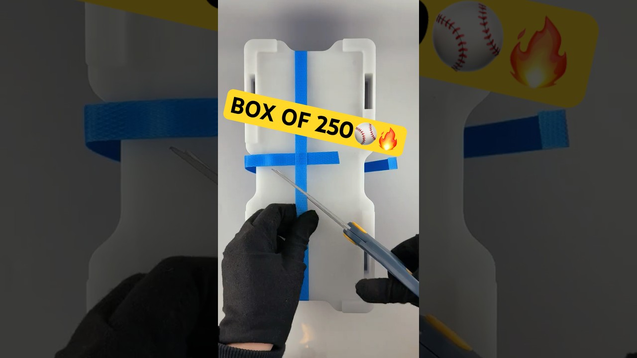 2025 1 oz Australian Silver Kangaroo Perth Mint BU