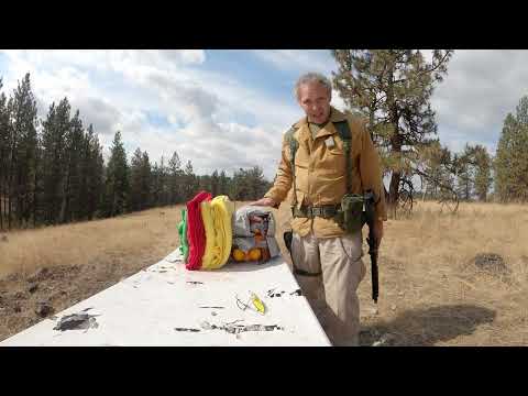 Ruger LC Carbine Review