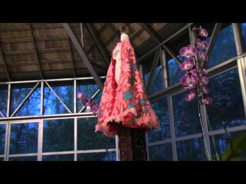 CENTENÁRIO - FLOR DE JAGUBE - MESTRE 97